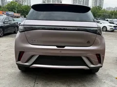 2021 BYD Dolphin EV 405km Freedom — фото 12