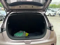 2021 BYD Dolphin EV 405km Freedom — фото 14