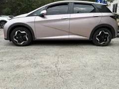 2021 BYD Dolphin EV 405km Freedom — фото 15