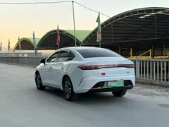 2024 BYD Destroyer 05 DM-i PHEV 55km Luxury, белый — фото 4