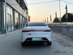 2024 BYD Destroyer 05 DM-i PHEV 55km Luxury, белый — фото 5