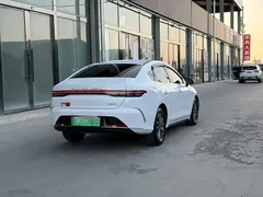 2024 BYD Destroyer 05 DM-i PHEV 55km Luxury, белый — фото 6