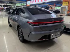 2024 BYD Destroyer 05 DM-i PHEV 55km Luxury — фото 4