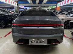 2024 BYD Destroyer 05 DM-i PHEV 55km Luxury — фото 5