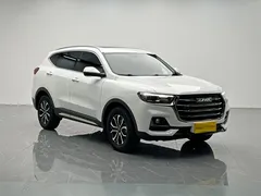 2021 Haval H6 1.5T AT Guochao Urban, белый — фото 8