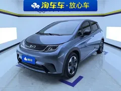 2025 BYD Dolphin 420km Freedom — фото 1