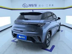 2025 BYD Dolphin 420km Freedom — фото 3