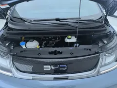 2025 BYD Dolphin 420km Freedom — фото 10