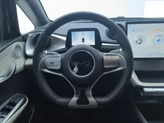 2025 BYD Dolphin 420km Freedom — фото 15