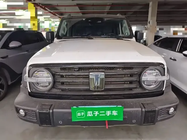 2021 Tank 300 Off-road 2.0T Conqueror