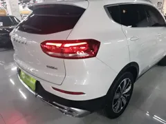 2021 Haval H6 1.5GDIT AT Champion, белый — фото 8