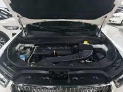 2021 Haval H6 1.5GDIT AT Champion, белый — фото 20