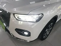 2021 Haval H6 1.5GDIT AT Champion, белый — фото 24