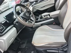 2024 BYD Qin PLUS EV 420km Leading, белый — фото 10