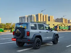 2023 Tank 300 Off-road 2.0T Conqueror — фото 10