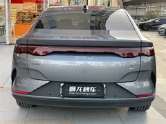 2025 BYD Qin L EV 545km Superior — фото 5
