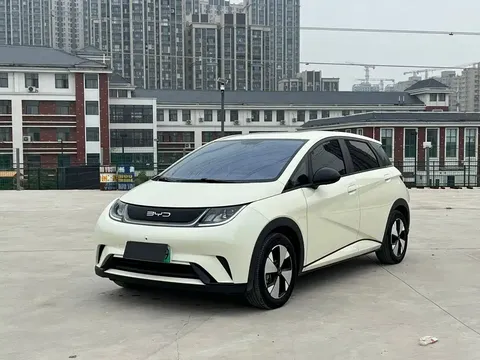 2023 BYD Dolphin 420km Freedom