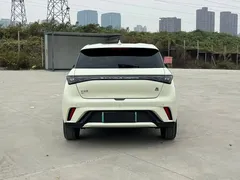 2023 BYD Dolphin 420km Freedom, белый — фото 8