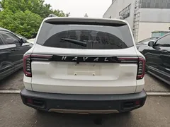 2021 Haval Dargo 1.5T DCT 2WD Border Collie, белый — фото 6