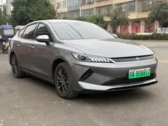 2025 BYD Qin PLUS EV 510KM Smart Driving Advance — фото 3