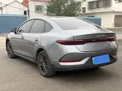 2025 BYD Qin PLUS EV 510KM Smart Driving Advance — фото 6