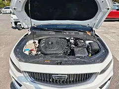 2021 Geely Preface 2.0TD Luxury, белый — фото 20