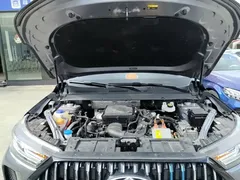 2023 Chery Tiggo 7 Pro PHEV 1.5T 100KM Champion — фото 20