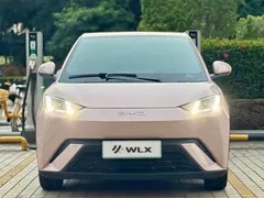 2024 BYD Seagull EV Glory 405km Flying — фото 2