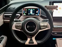 2024 BYD Seagull EV Glory 405km Flying — фото 10