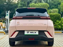 2024 BYD Seagull EV Glory 405km Flying — фото 16