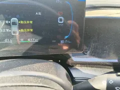 2024 BYD Qin PLUS Honor DM-i PHEV 55km Leading — фото 8