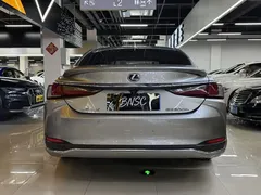 2020 Lexus ES 300h Excellence — фото 8