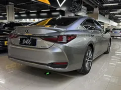 2020 Lexus ES 300h Excellence — фото 9