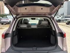 2025 BYD Yuan UP Smart Driving 401km — фото 19
