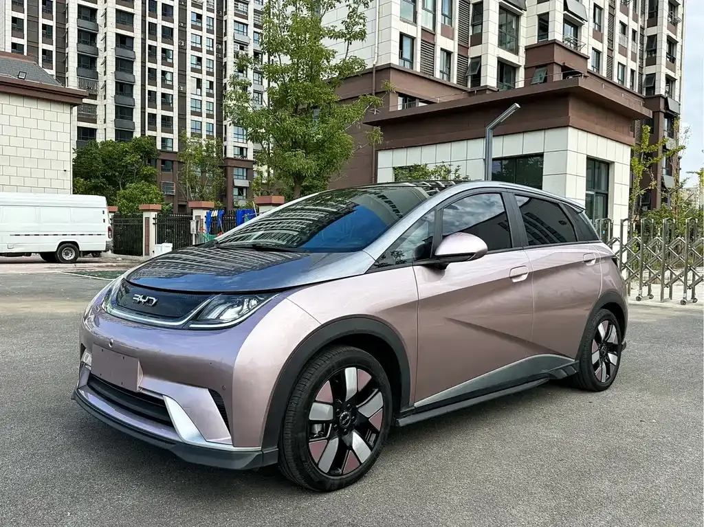 2025 BYD Dolphin EV 520km Knight