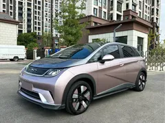 2025 BYD Dolphin EV 520km Knight — фото 1