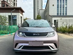 2025 BYD Dolphin EV 520km Knight — фото 2