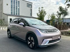 2025 BYD Dolphin EV 520km Knight — фото 3