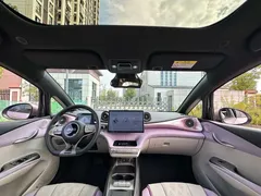 2025 BYD Dolphin EV 520km Knight — фото 6