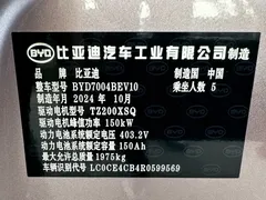 2025 BYD Dolphin EV 520km Knight — фото 8
