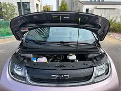 2025 BYD Dolphin EV 520km Knight — фото 10