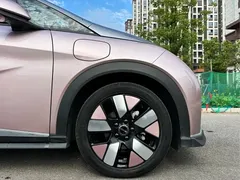 2025 BYD Dolphin EV 520km Knight — фото 11