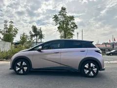 2025 BYD Dolphin EV 520km Knight — фото 12