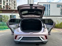 2025 BYD Dolphin EV 520km Knight — фото 13