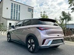 2025 BYD Dolphin EV 520km Knight — фото 14