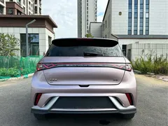 2025 BYD Dolphin EV 520km Knight — фото 15