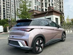 2025 BYD Dolphin EV 520km Knight — фото 16