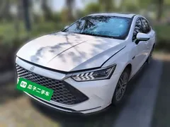 2023 BYD Qin PLUS Champion DM-i PHEV 55km Exceed, белый — фото 1
