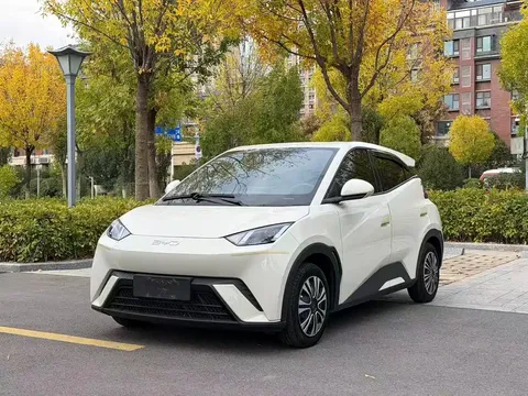 2024 BYD Seagull Honor 305km Vitality