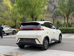 2024 BYD Seagull Honor 305km Vitality, белый — фото 17